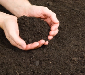 Topsoil